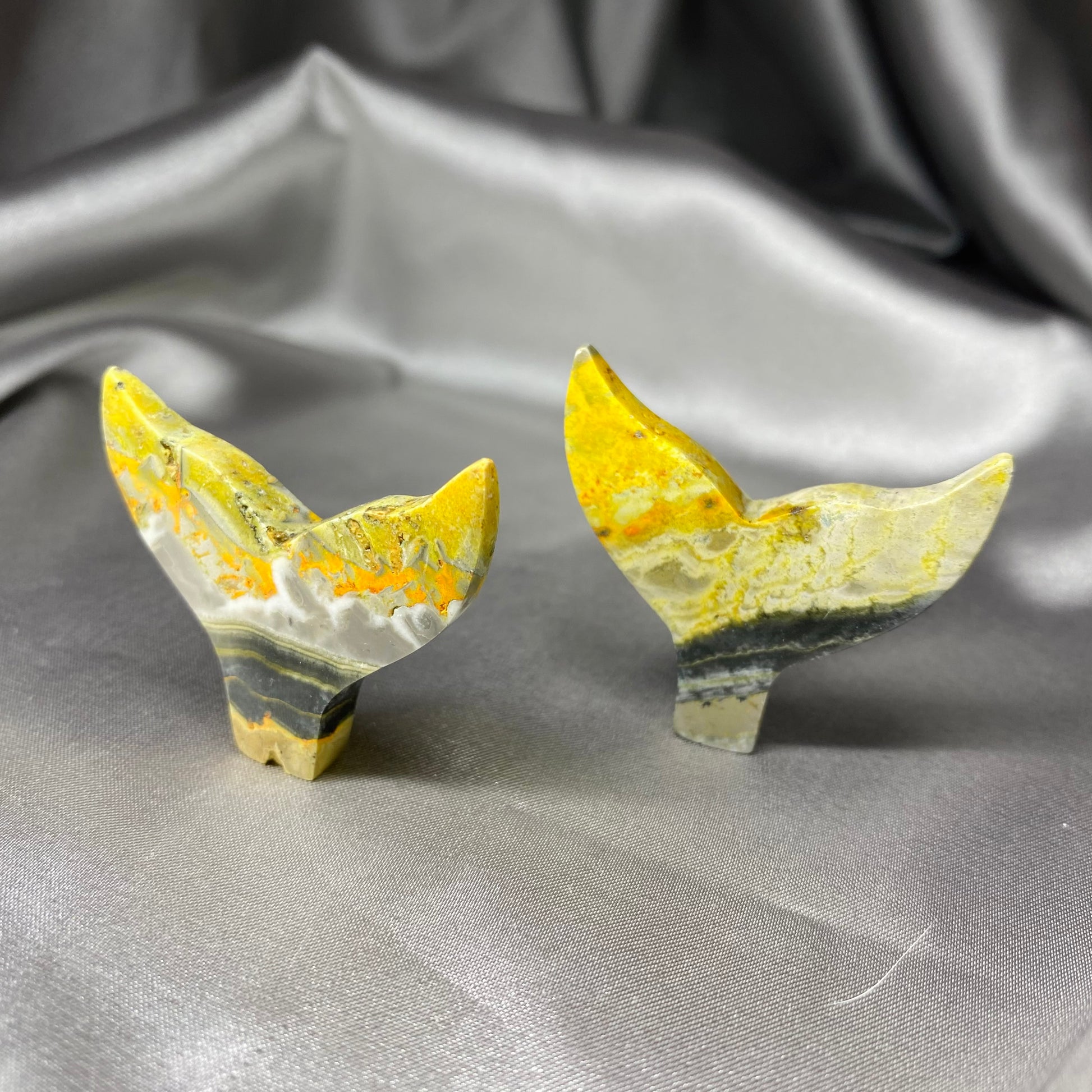 Bumblebee Jasper Whale Tail