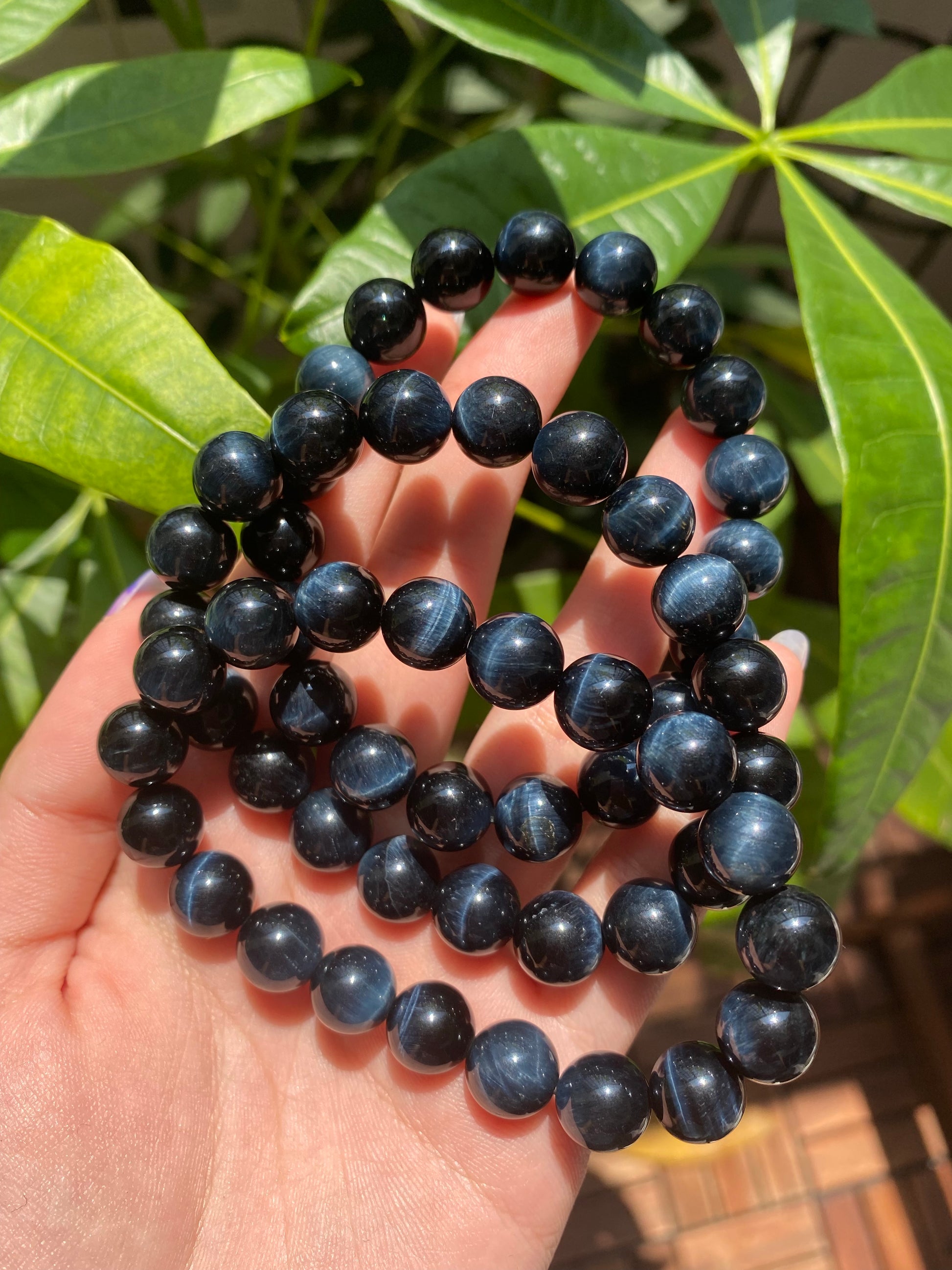 *PREMIUM* Blue Tiger Eye Bead Bracelet