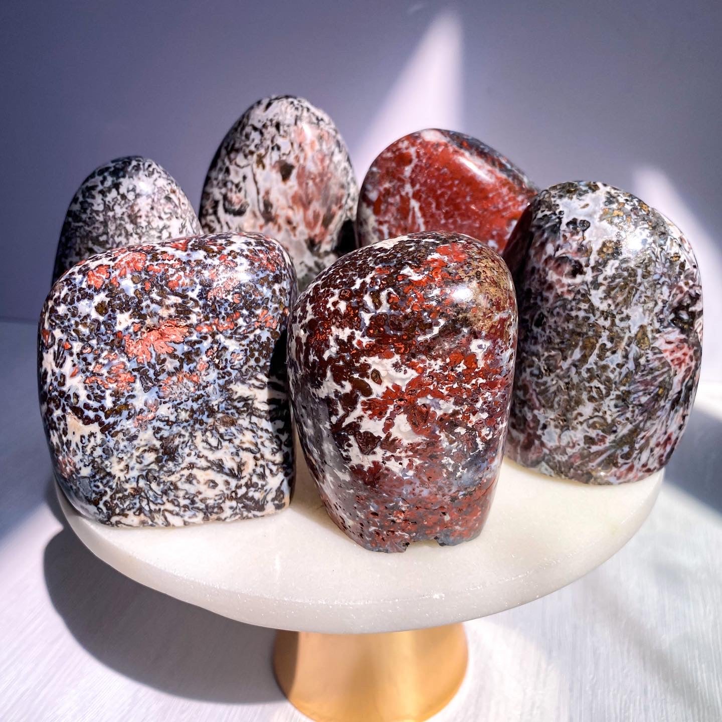 Rare Skeleton Coast Jasper Flower Jasper Freeform F from Namibia Red Brecciated Jasper with Agate