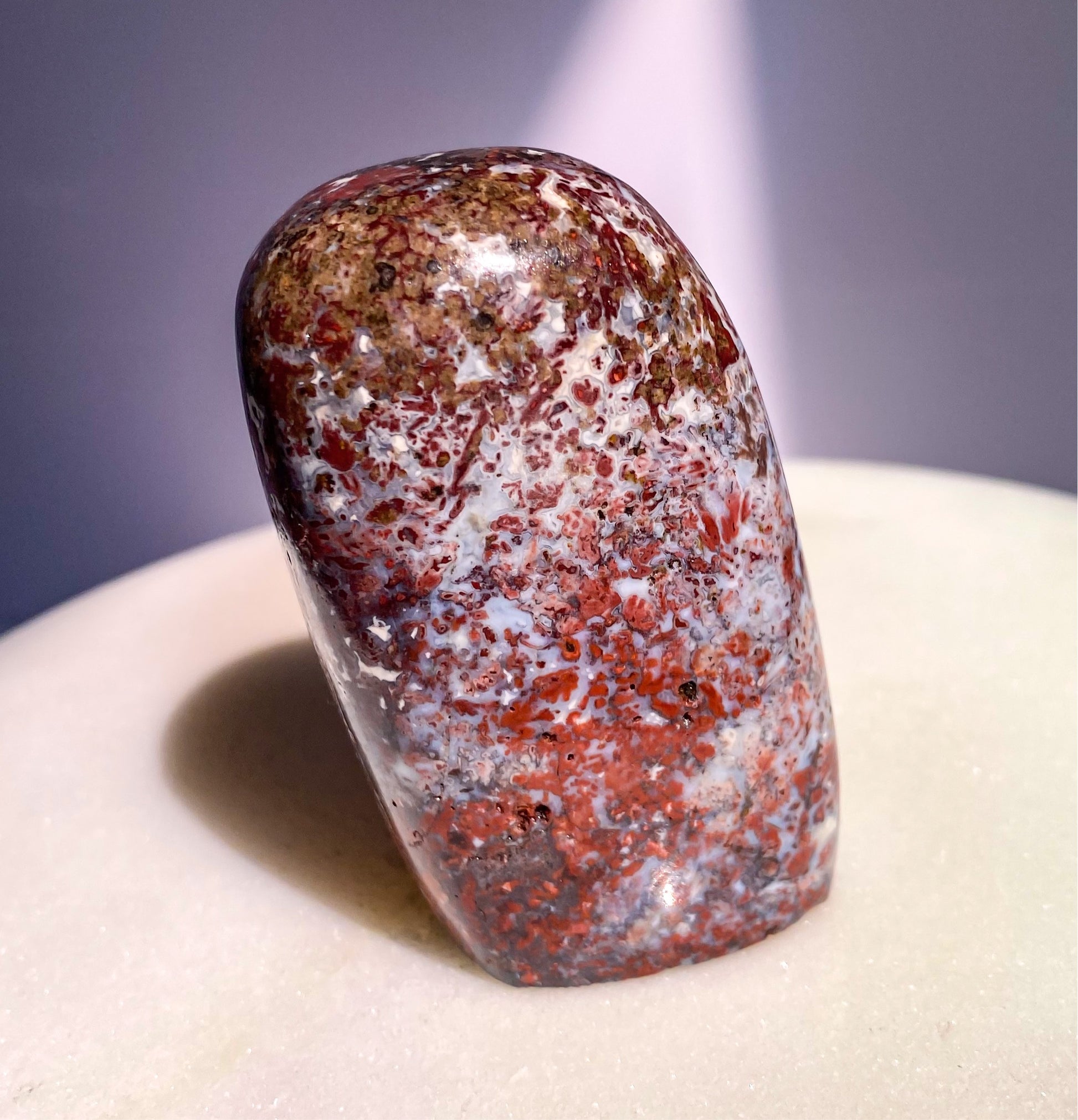 Rare Skeleton Coast Jasper Flower Jasper Freeform A from Namibia Red Brecciated Jasper with Agate