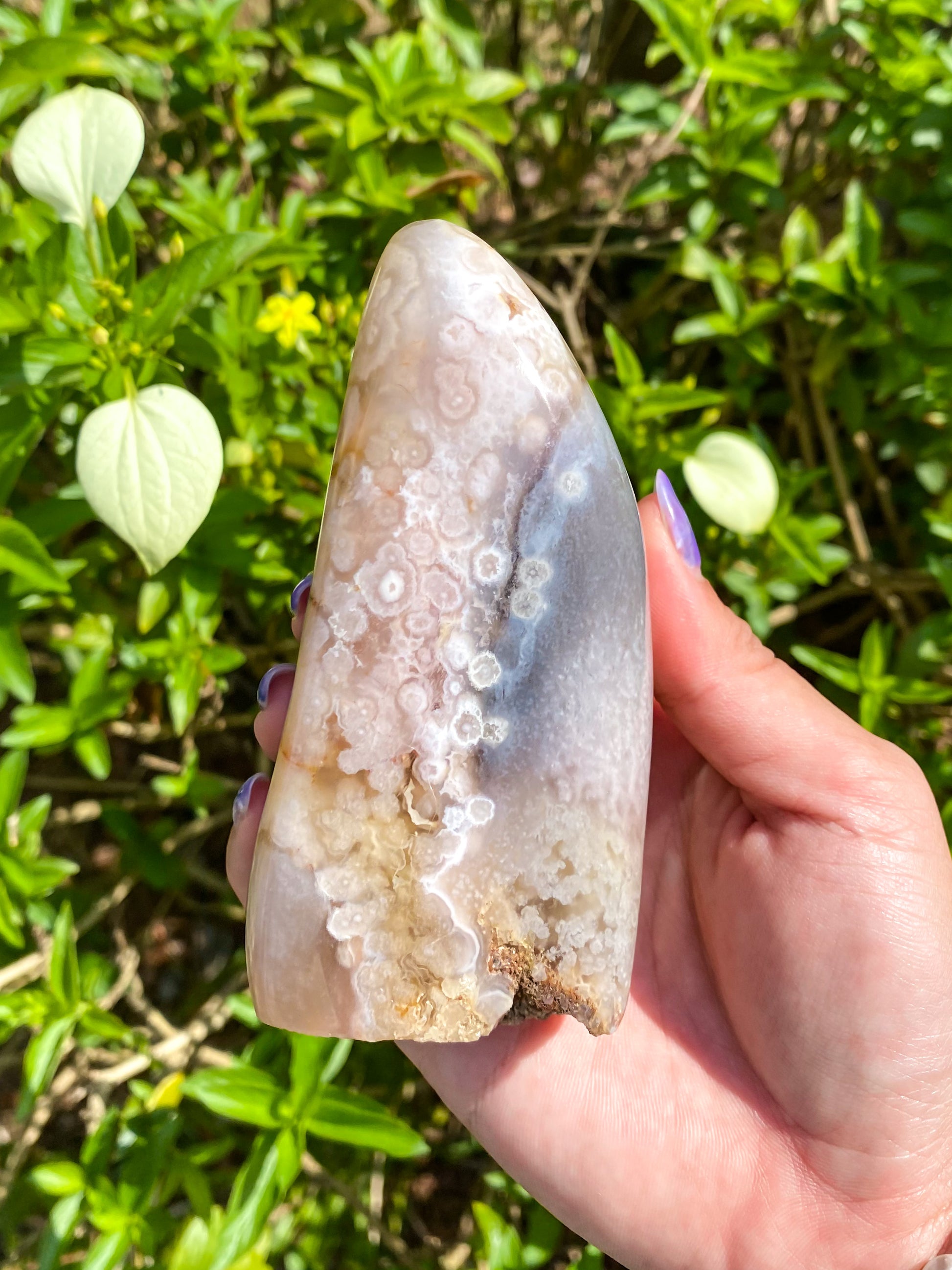 Flower Agate Freeform