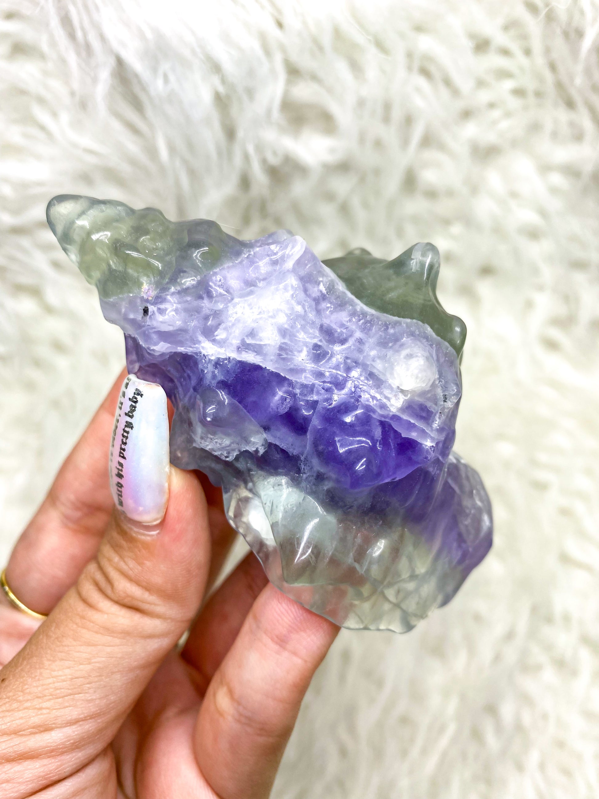 Carved Fluorite Seashells
