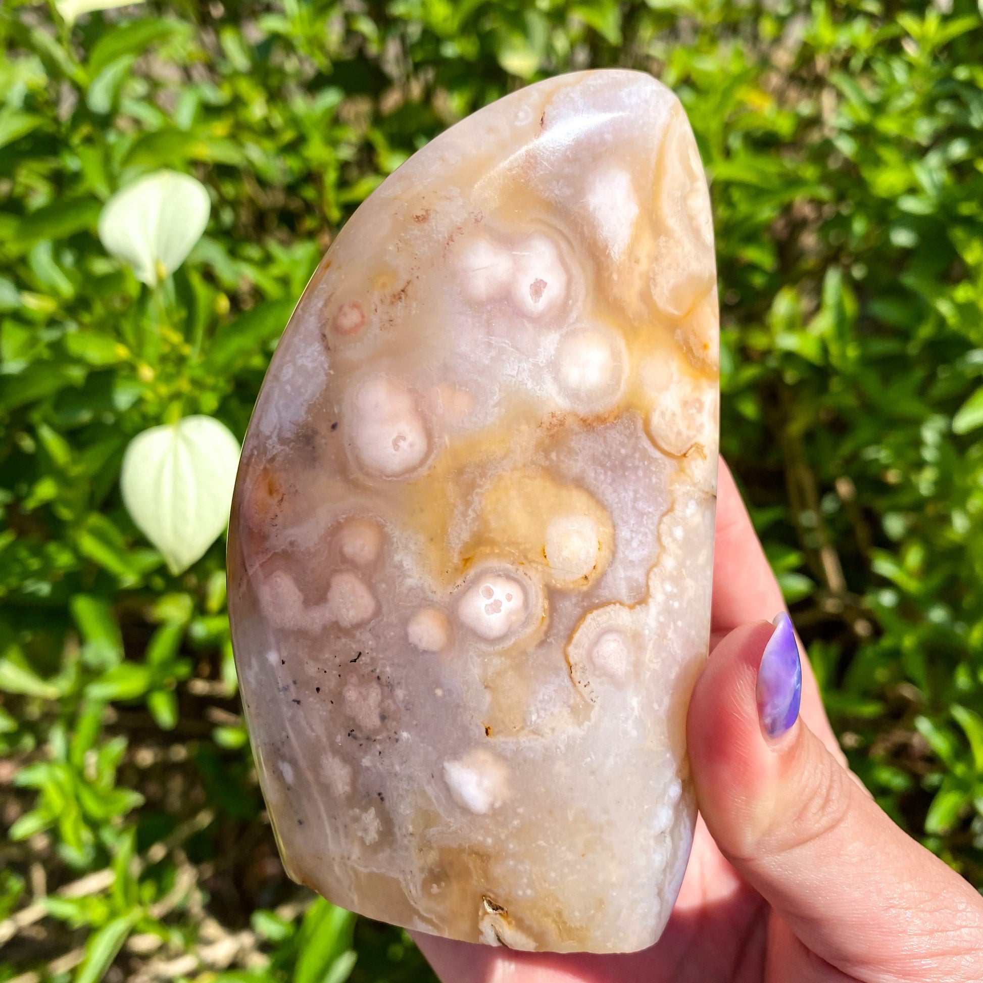 Flower Agate Sakura Agate Plume Chalcedony