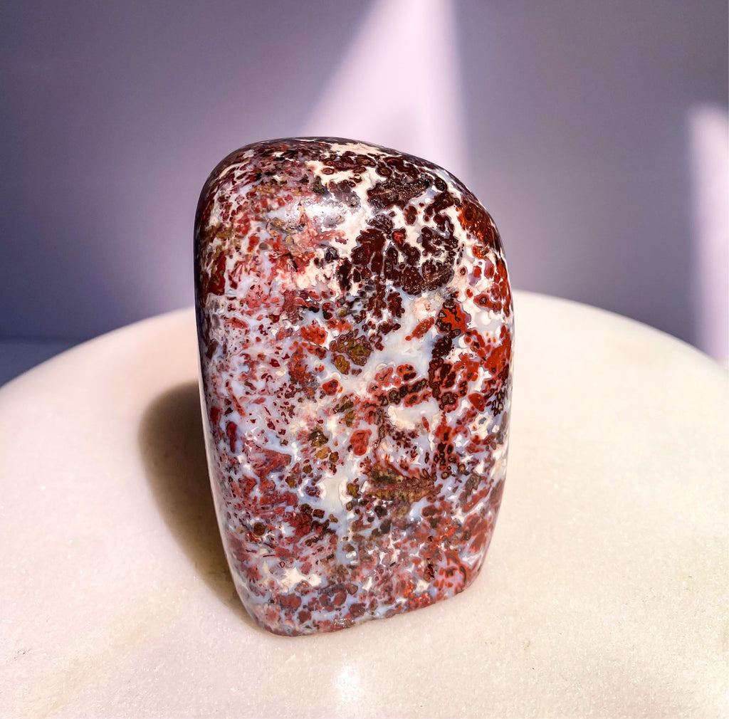 Rare Skeleton Coast Jasper Flower Jasper Freeform A from Namibia Red Brecciated Jasper with Agate