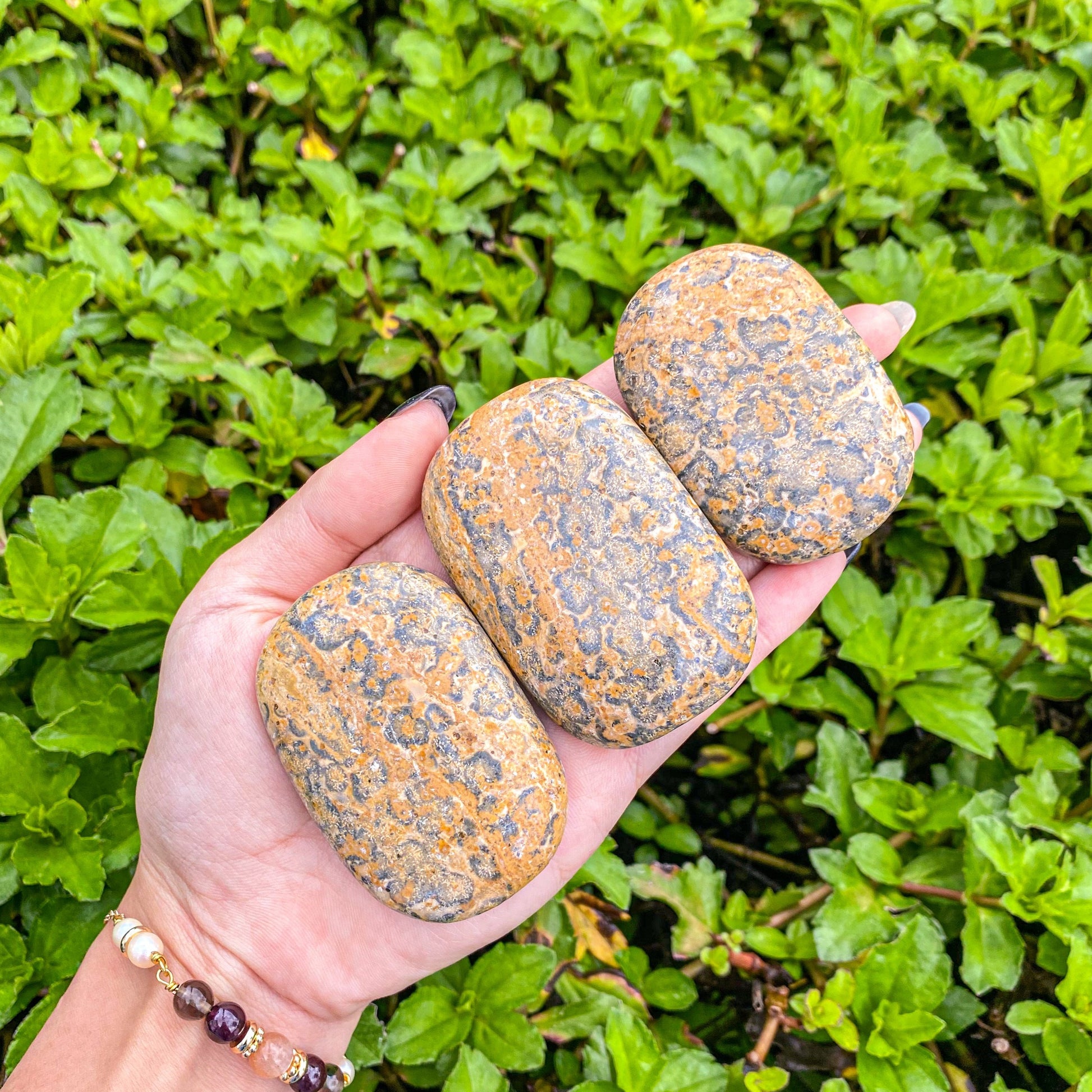 Leopard Skin Jasper Palmstone