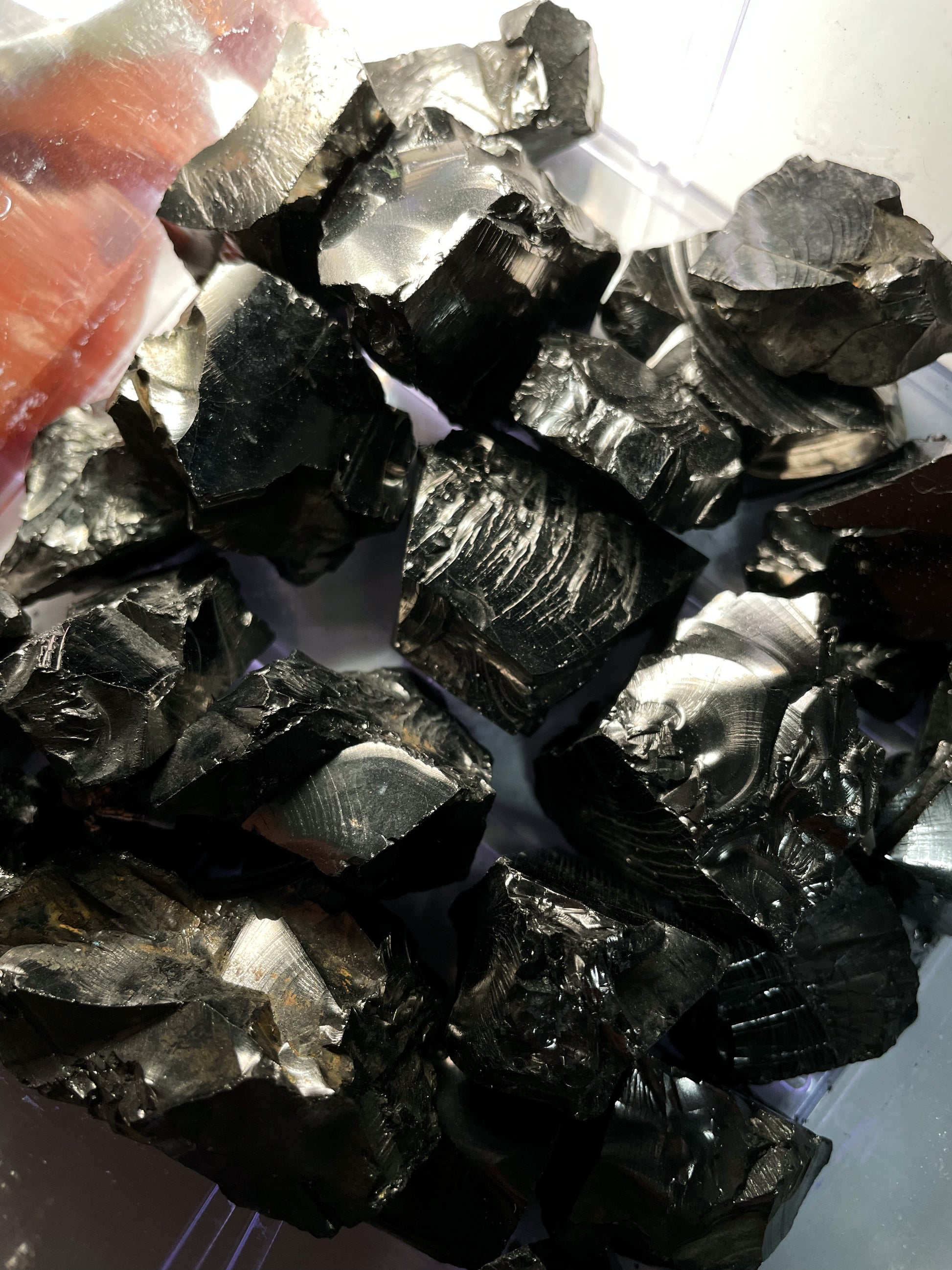 Elite Shungite from Russia