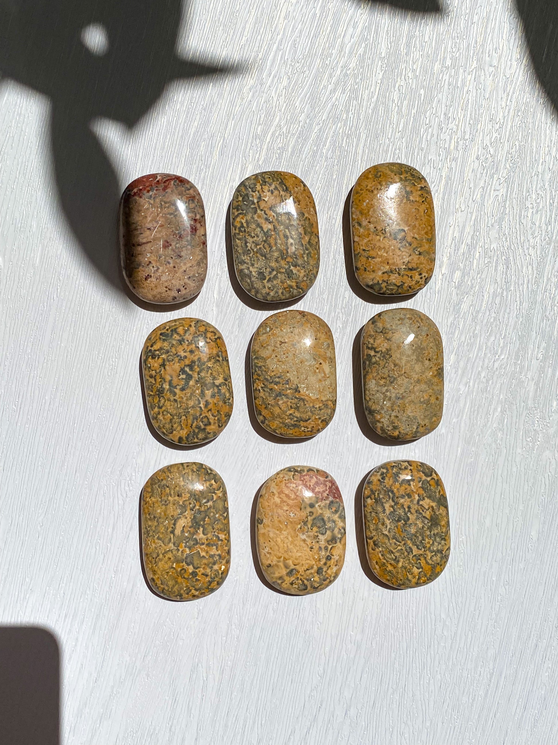 Leopard Skin Jasper Palmstone
