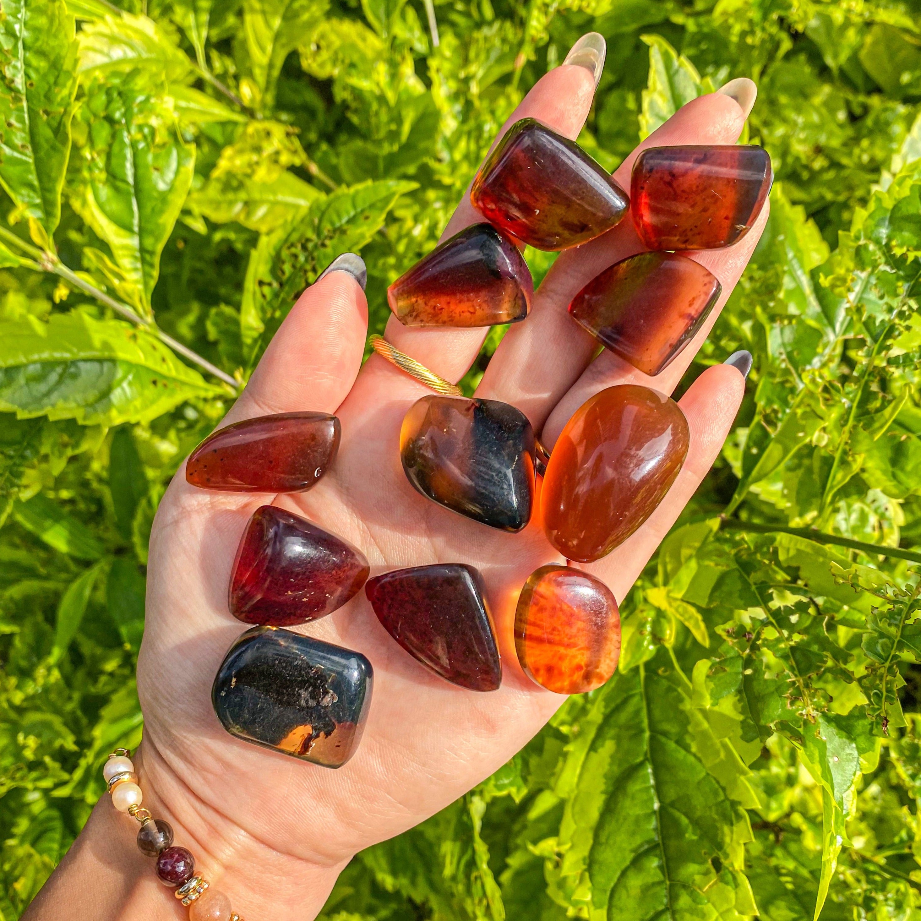 Amber Indonesia