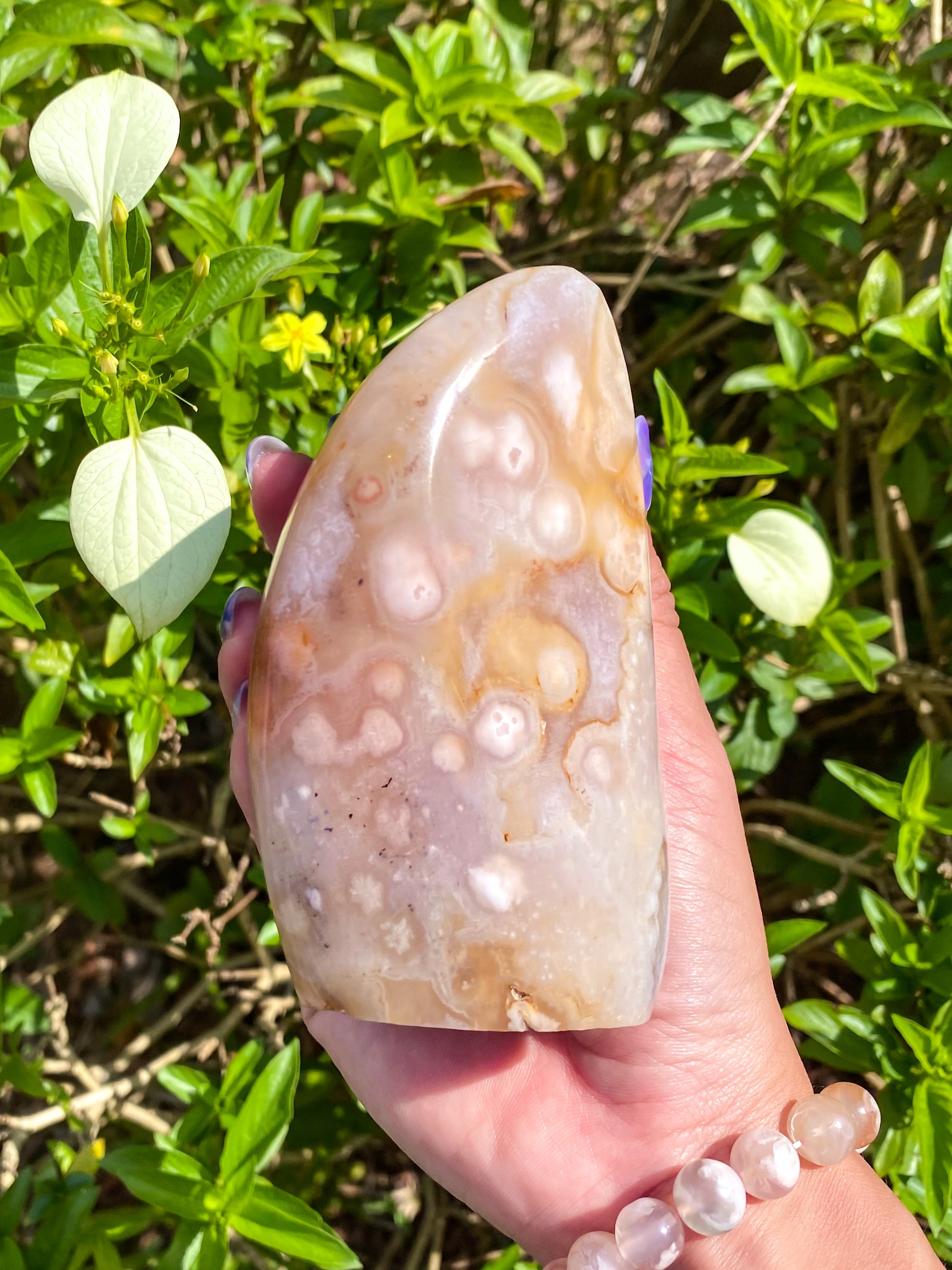 Flower Agate Freeform