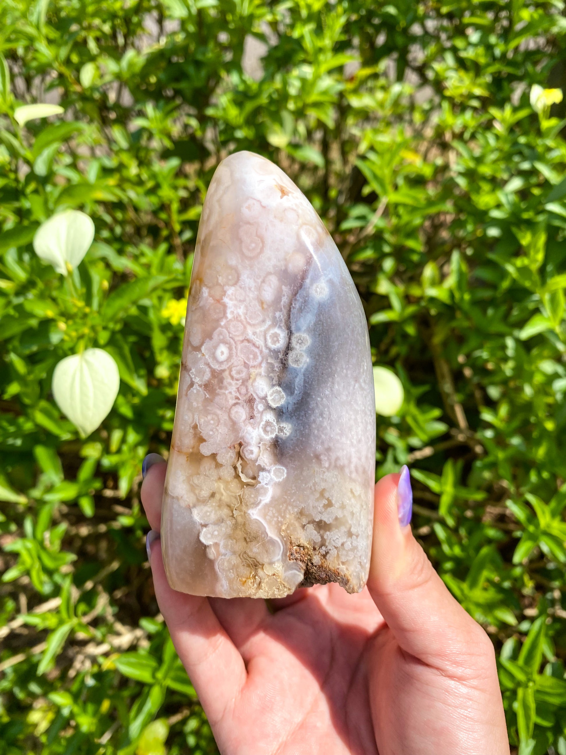 Flower Agate Freeform