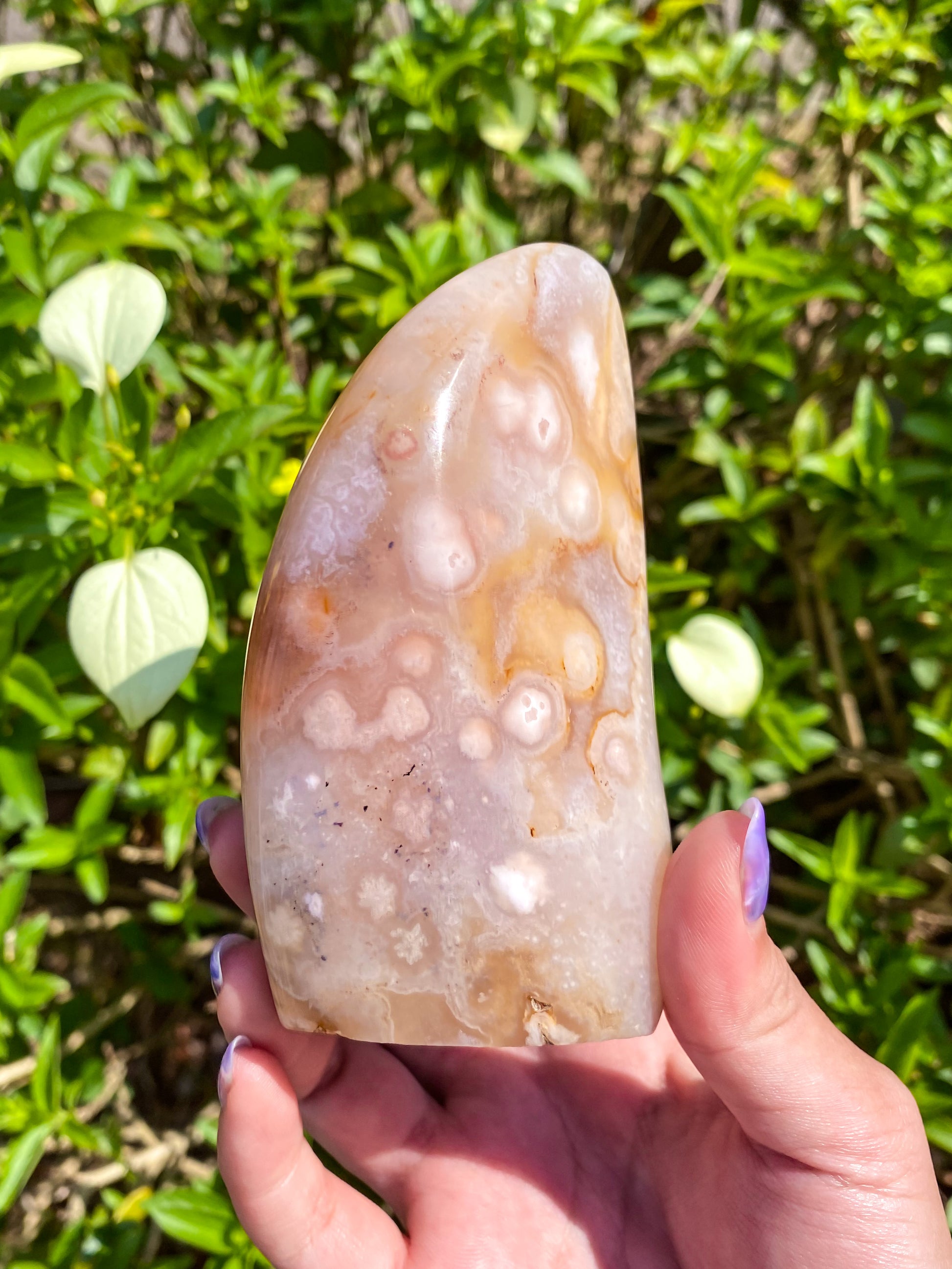 Flower Agate Freeform