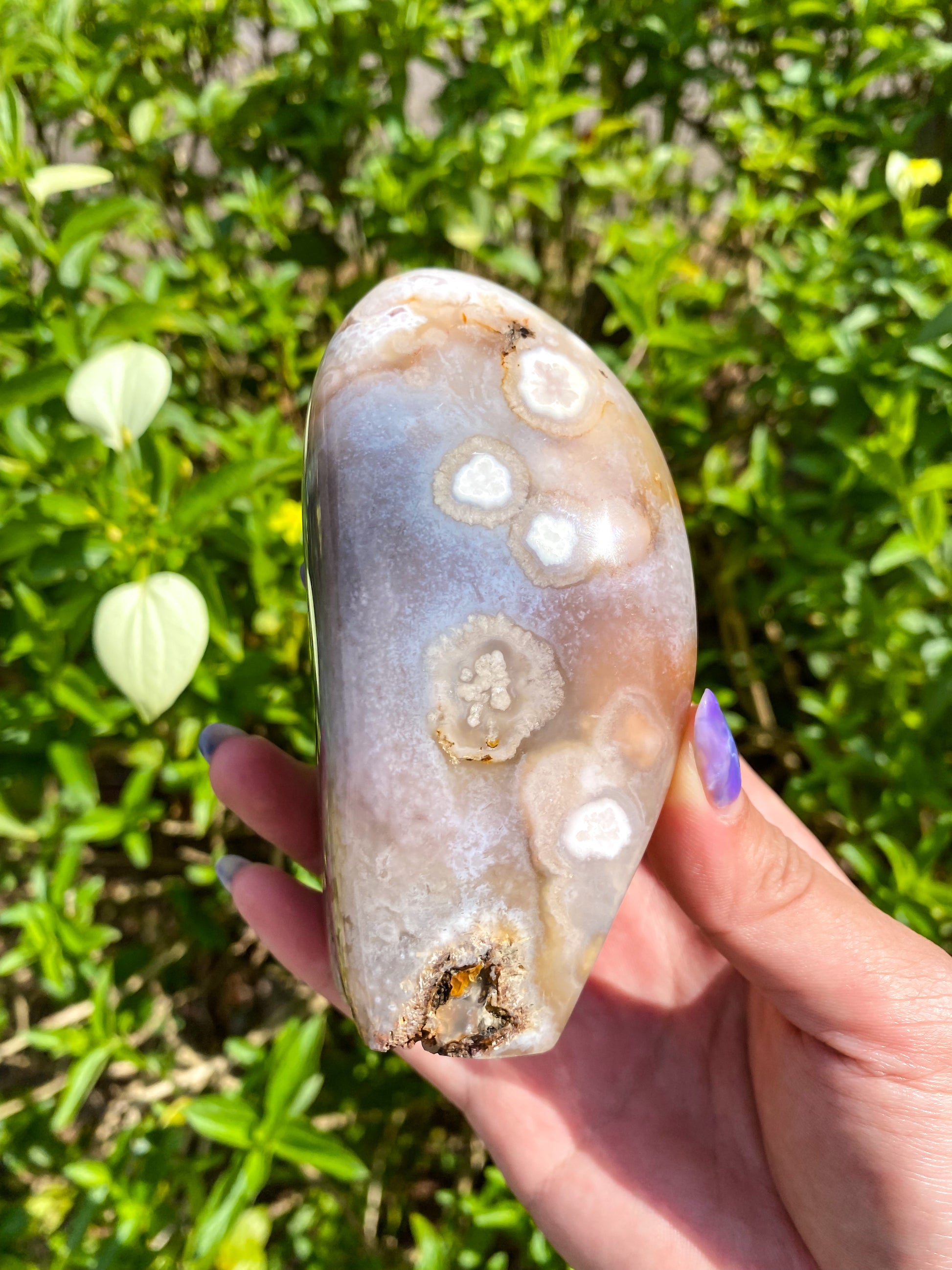 Flower Agate Freeform