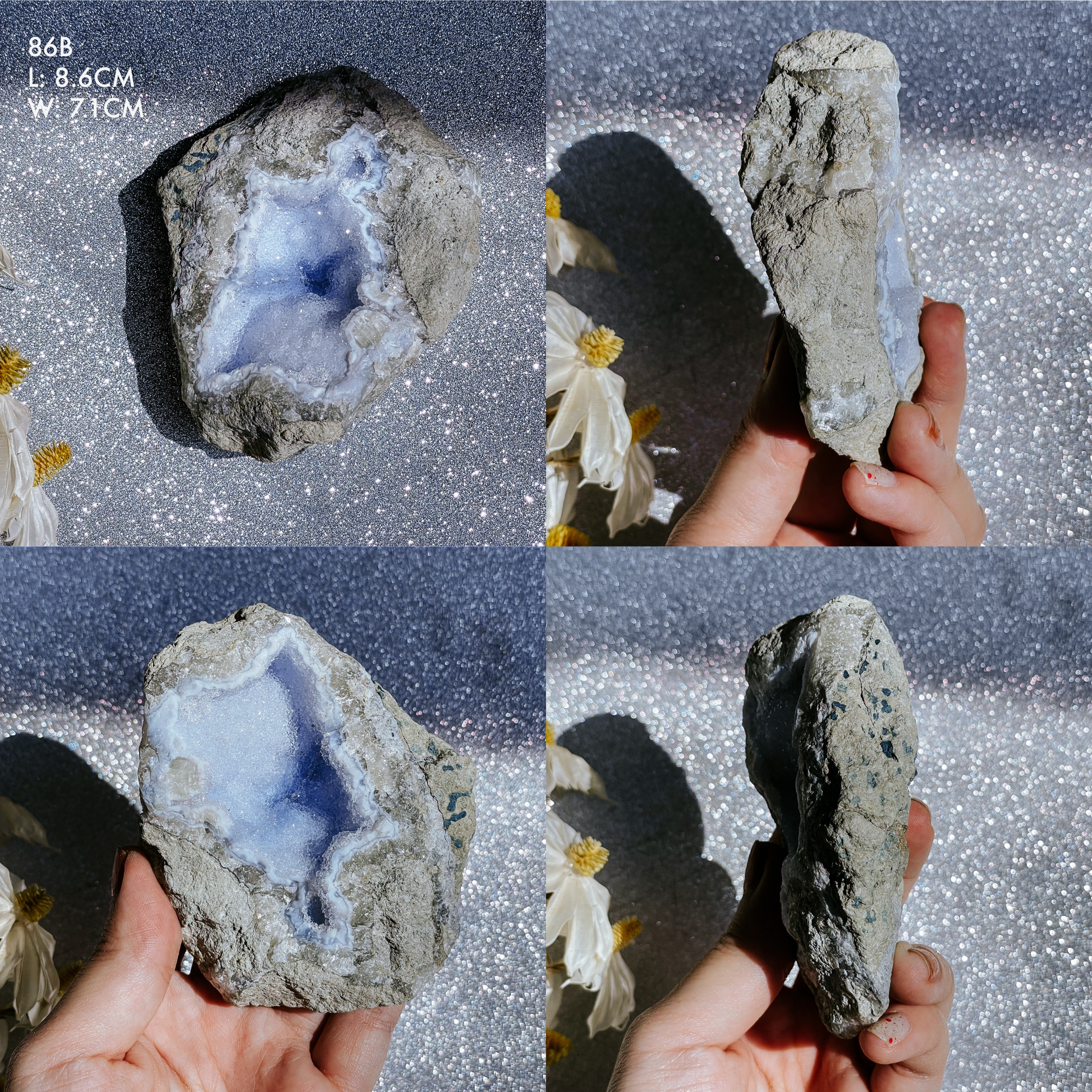 Blue Lace Agate Geodes