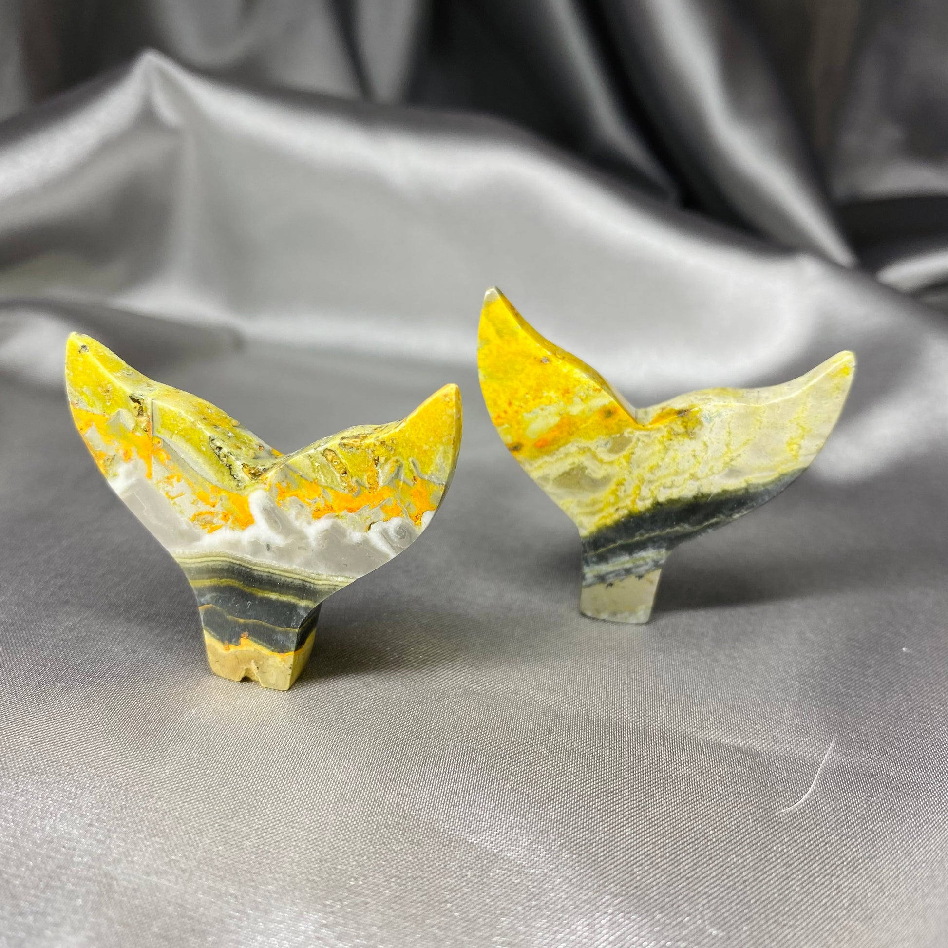 Bumblebee Jasper Whale Tail