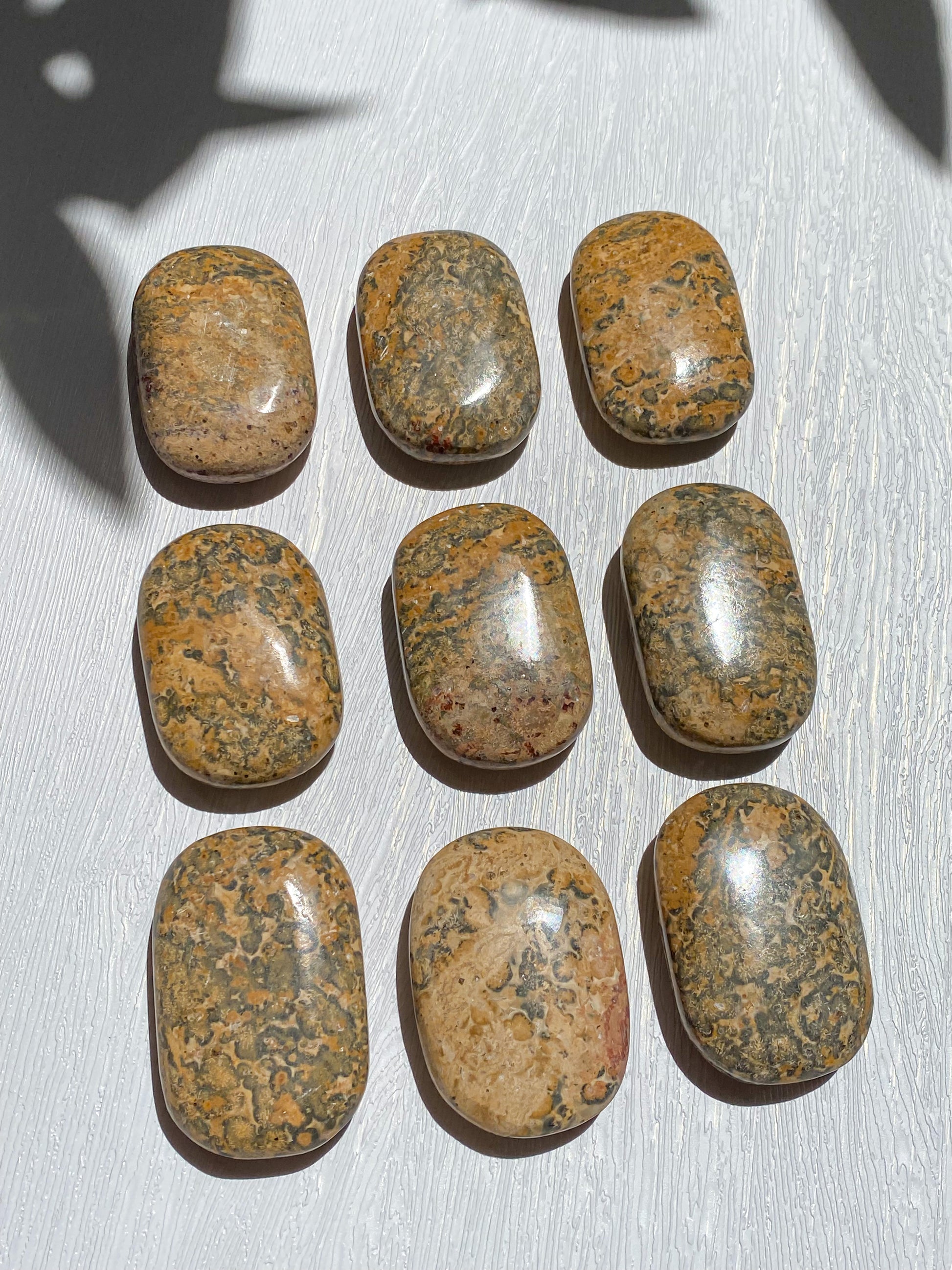 Leopard Skin Jasper Palmstone