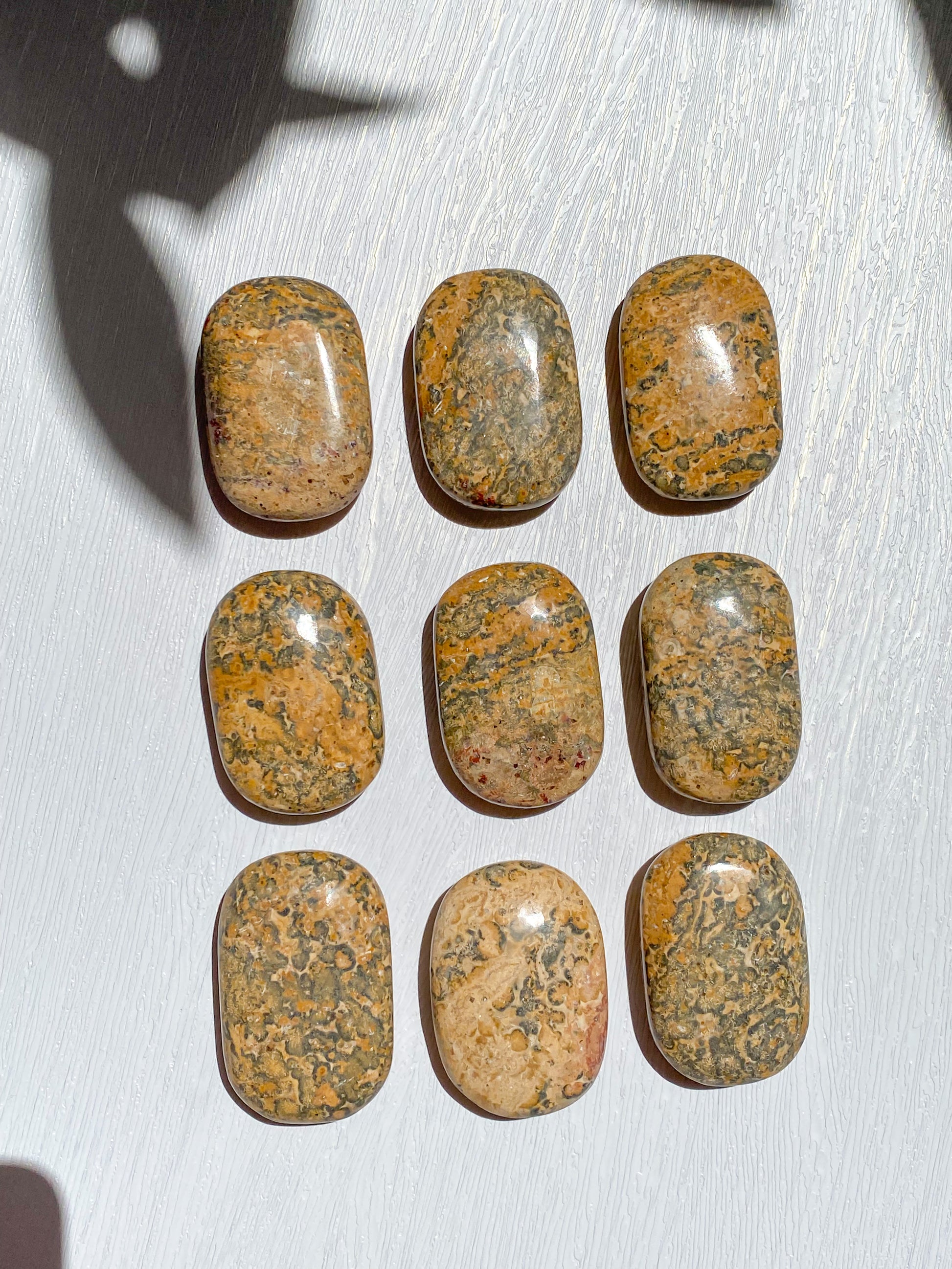 Leopard Skin Jasper Palmstone